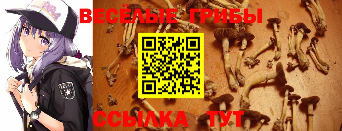 Галлюциногенные грибы мухоморы Бирск